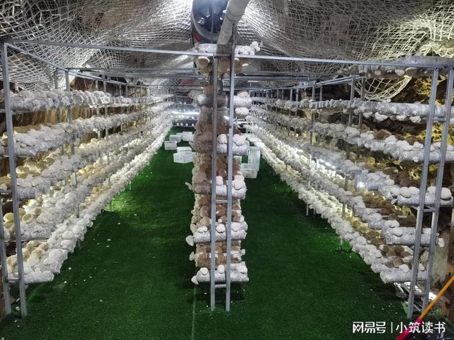 花果山直播孵化基地正式运营｜以菌为媒以IP为魂以就业为暖(图3)