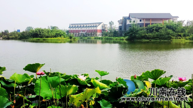 航空展翼聚人气 白酒飘香引客来——评2026四川白酒产业园区航空航天展促消费场景活动(图6)