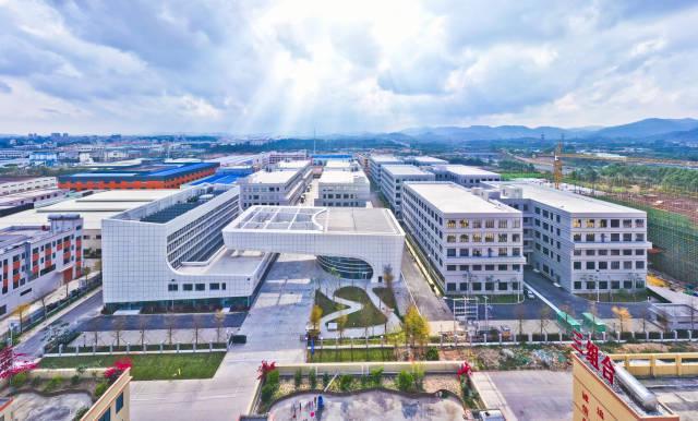 “国资新军”带飞县域经济 阳江市全面深化改革系列观察②(图2)