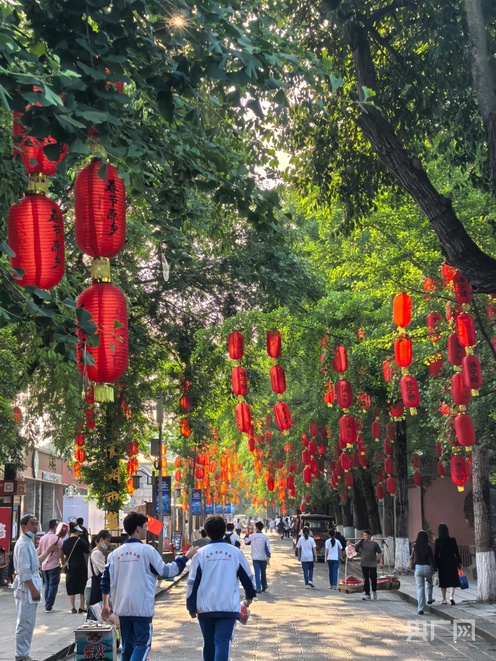 一川烟雨入画来｜一江碧水融四大IP！丝源南充迈向国际文旅新城(图2)